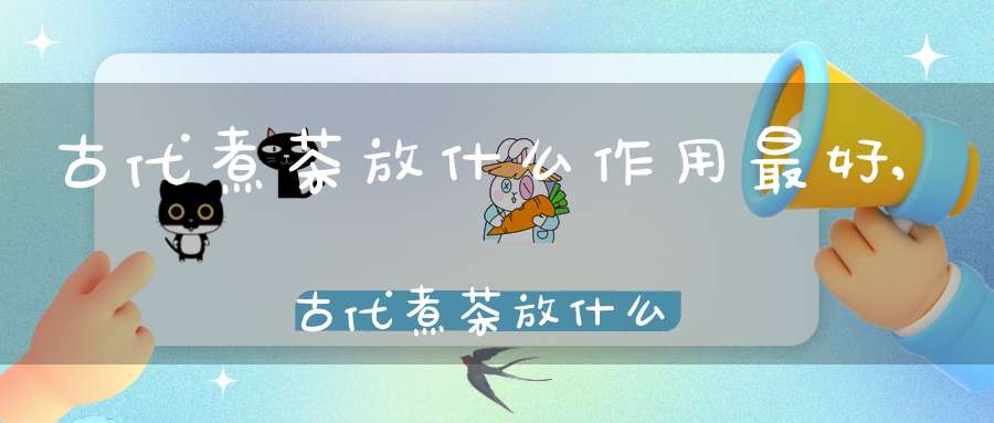 古代煮茶放什么作用最好,古代煮茶放什么作用好