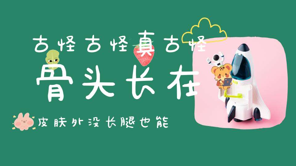古怪古怪真古怪，骨头长在皮肤外，没长腿也能上墙来。 （猜一动物）