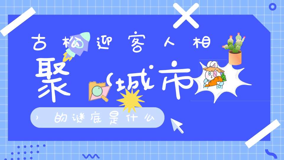古松迎客人相聚 （城市）的谜底是什么?