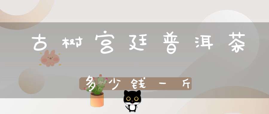 古树宫廷普洱茶多少钱一斤