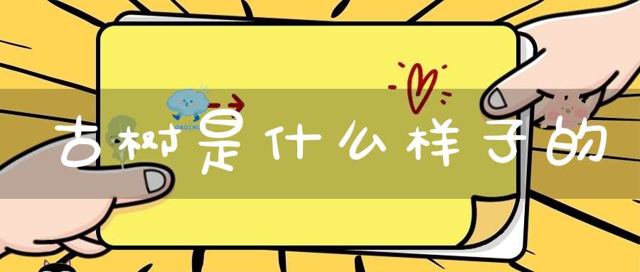 古树是什么样子的