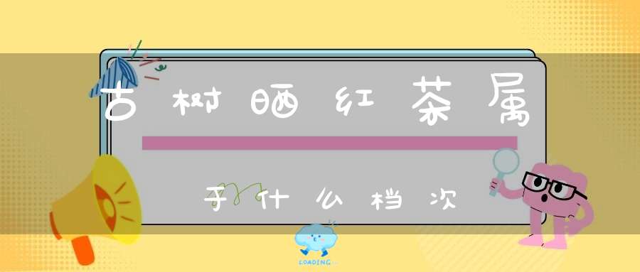 古树晒红茶属于什么档次