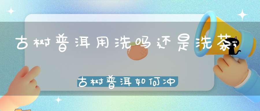 古树普洱用洗吗还是洗茶,古树普洱如何冲泡