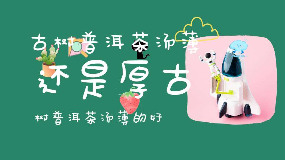 古树普洱茶汤薄还是厚古树普洱茶汤薄的好吗