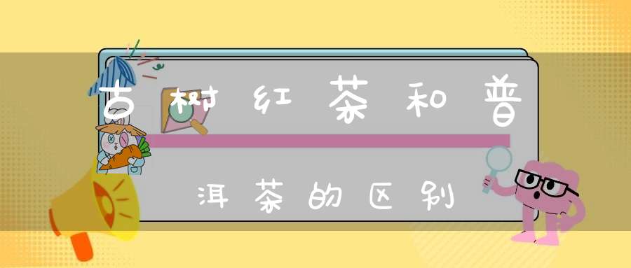 古树红茶和普洱茶的区别