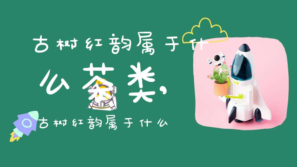 古树红韵属于什么茶类,古树红韵属于什么茶种类