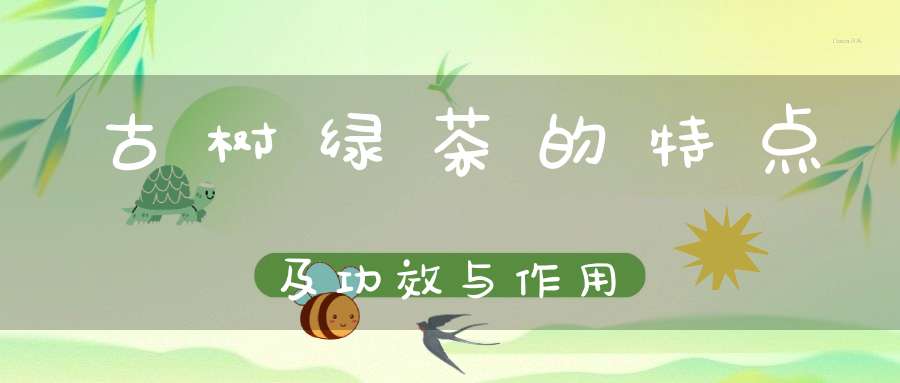 古树绿茶的特点及功效与作用