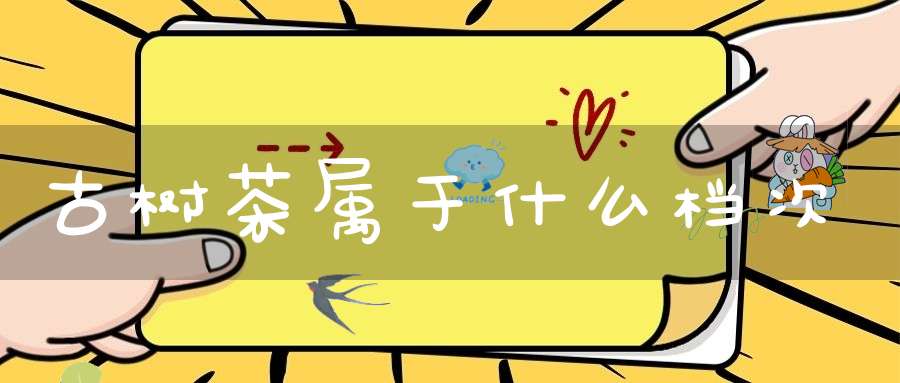 古树茶属于什么档次