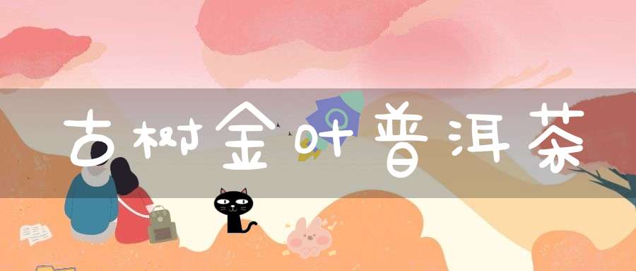 古树金叶普洱茶