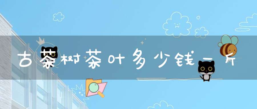 古茶树茶叶多少钱一斤