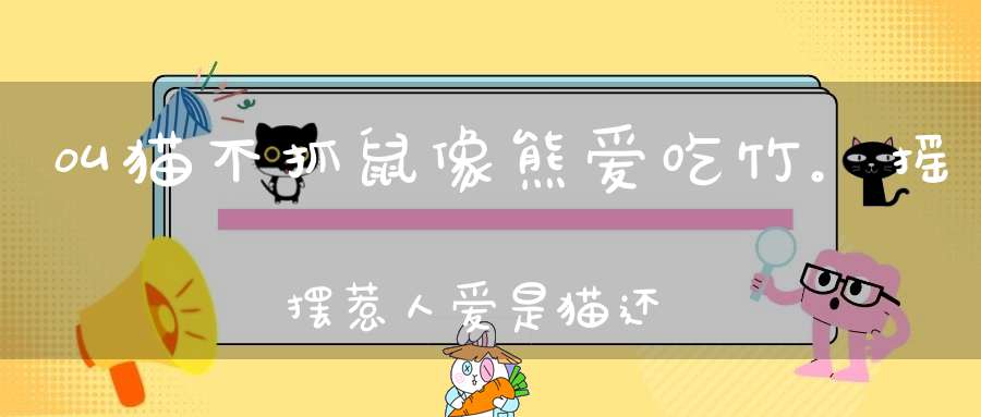 叫猫不抓鼠，像熊爱吃竹。摇摆惹人爱，是猫还是熊（打一动物）