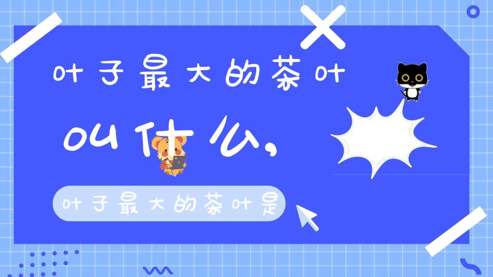 叶子最大的茶叶叫什么,叶子最大的茶叶是什么