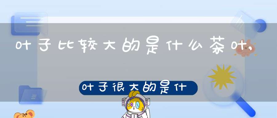 叶子比较大的是什么茶叶,叶子很大的是什么茶