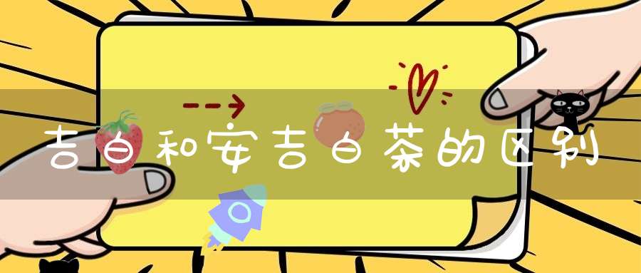 吉白和安吉白茶的区别