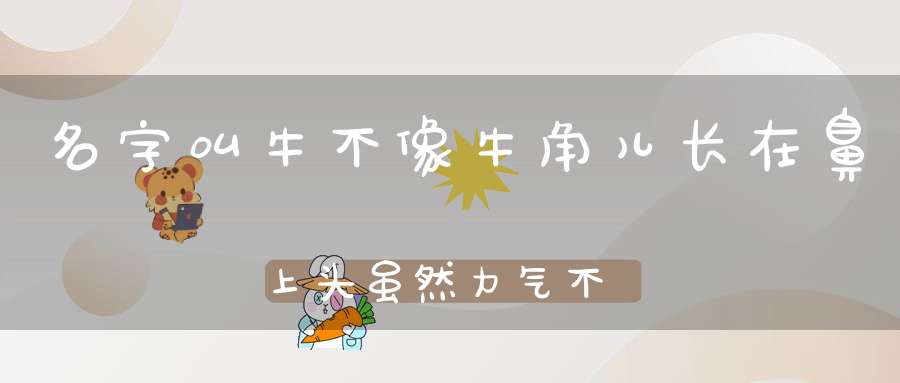 名字叫牛不像牛，角儿长在鼻上头，虽然力气不算小，从不见它拉犁头。 （猜一动物）