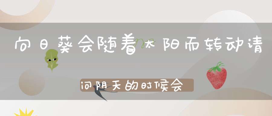 向日葵会随着太阳而转动，请问阴天的时候会向着哪里