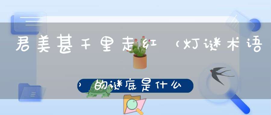 君美甚千里走红 （灯谜术语）的谜底是什么?