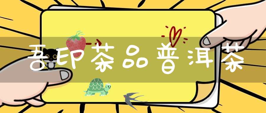 吾印茶品普洱茶