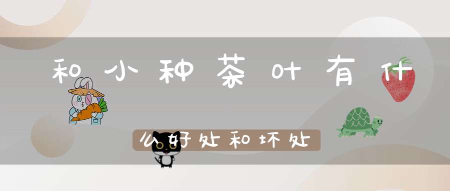 和小种茶叶有什么好处和坏处
