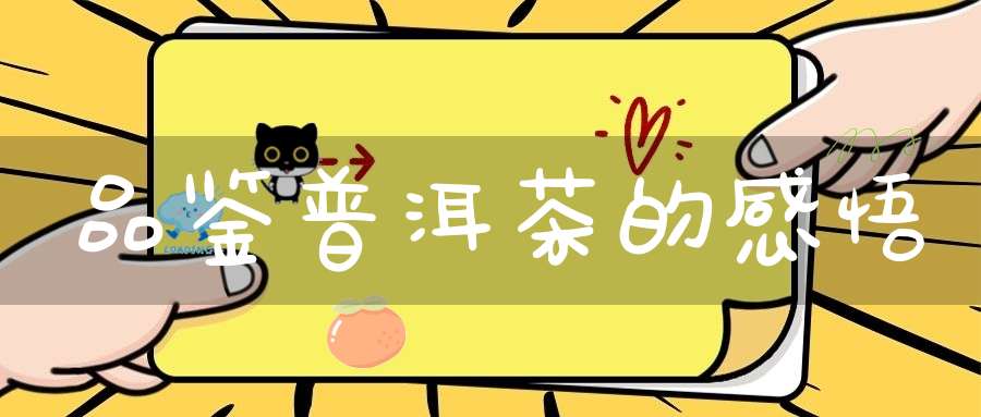 品鉴普洱茶的感悟