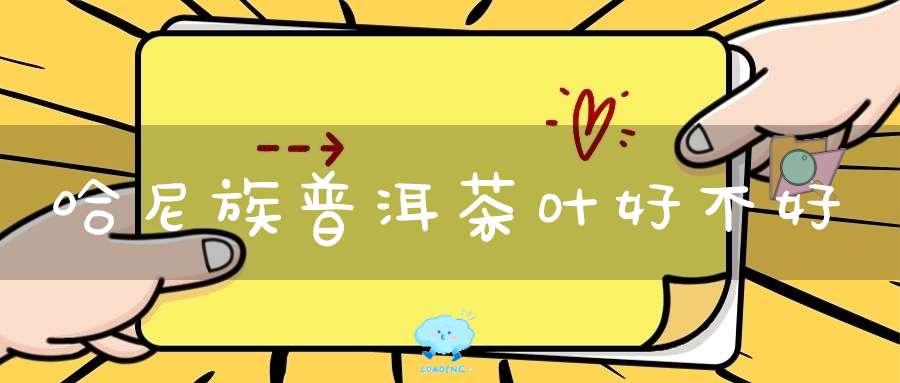 哈尼族普洱茶叶好不好