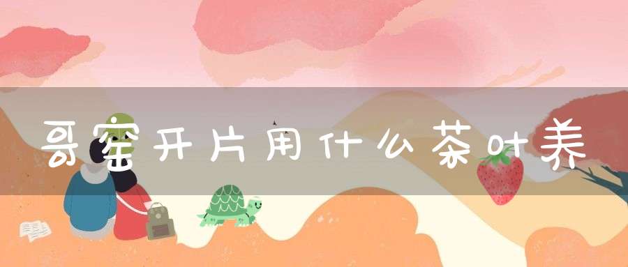 哥窑开片用什么茶叶养