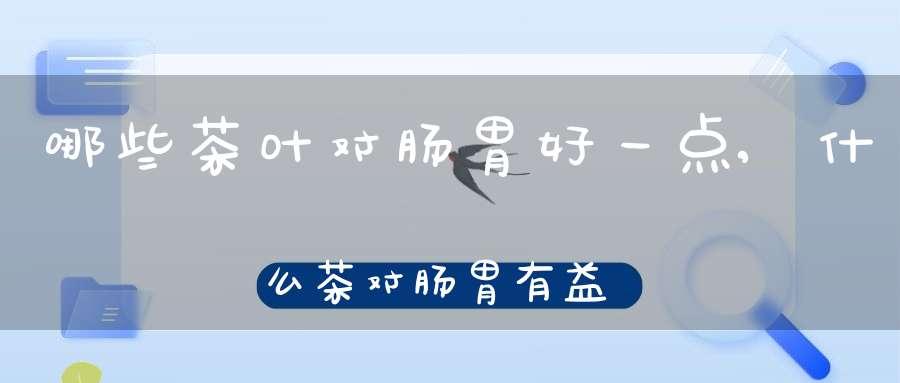 哪些茶叶对肠胃好一点,什么茶对肠胃有益