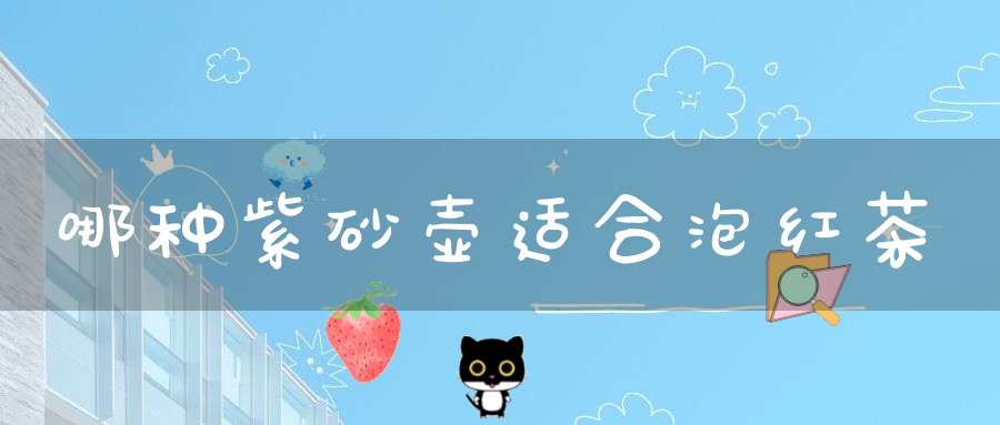 哪种紫砂壶适合泡红茶