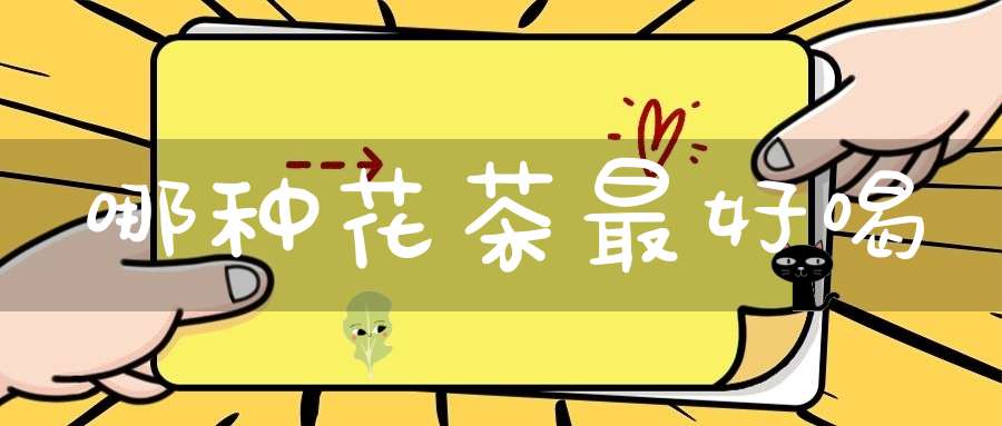 哪种花茶最好喝