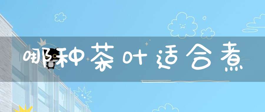 哪种茶叶适合煮