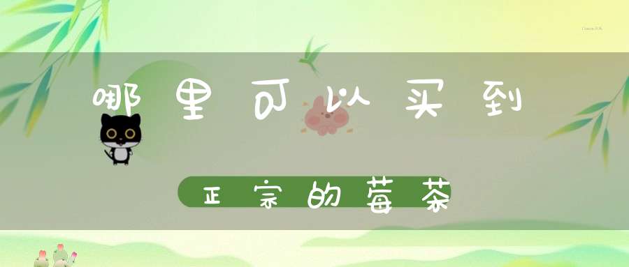哪里可以买到正宗的莓茶