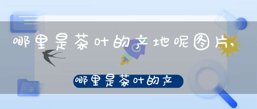 哪里是茶叶的产地呢图片,哪里是茶叶的产地呢英文