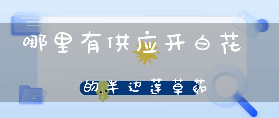 哪里有供应开白花的半边莲草药？