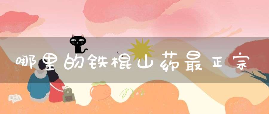 哪里的铁棍山药最正宗