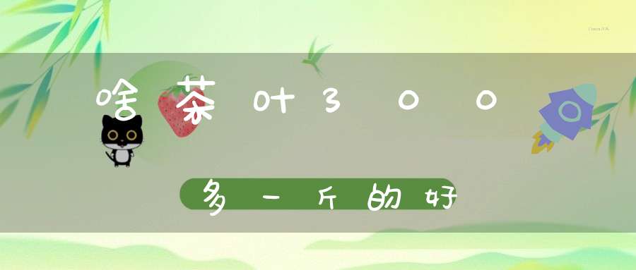 啥茶叶300多一斤的好