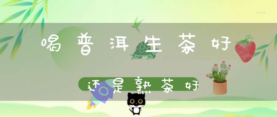 喝普洱生茶好还是熟茶好