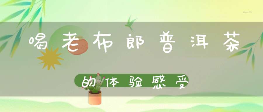 喝老布郎普洱茶的体验感受