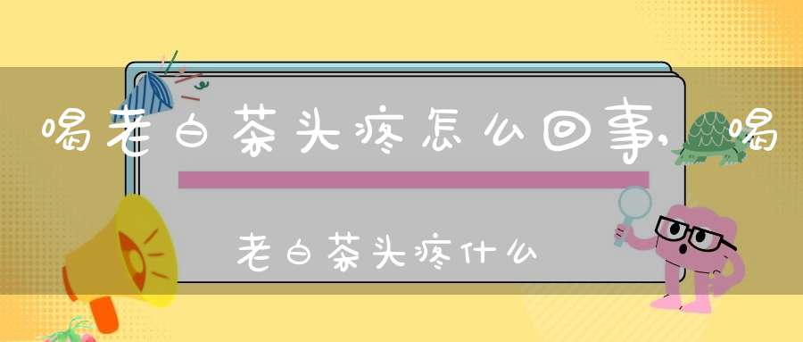 喝老白茶头疼怎么回事,喝老白茶头疼什么原因