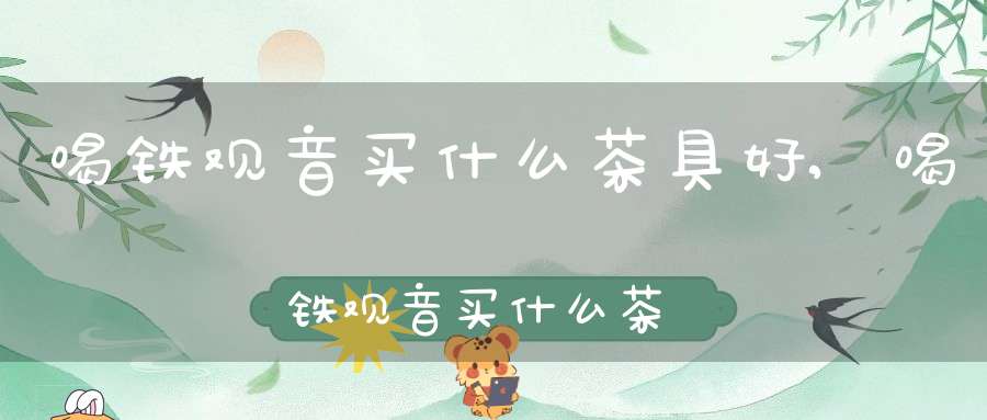 喝铁观音买什么茶具好,喝铁观音买什么茶具最好