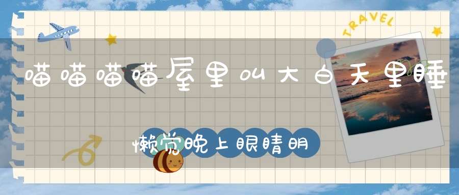 喵喵喵喵屋里叫，大白天里睡懒觉，晚上眼睛明又亮，跑到粮仓去放哨。 （猜一动物）