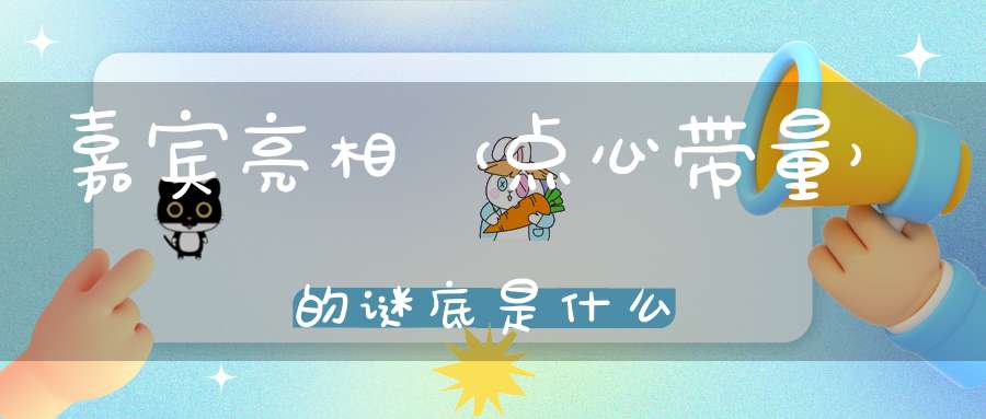 嘉宾亮相 （点心带量）的谜底是什么?