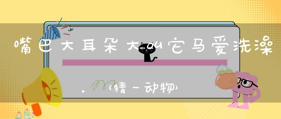 嘴巴大，耳朵大，叫它马，爱洗澡。 （猜一动物）