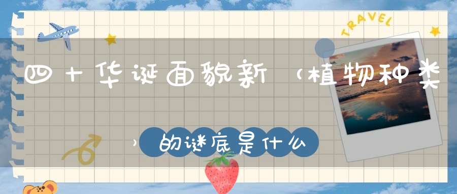 四十华诞面貌新 （植物种类）的谜底是什么?