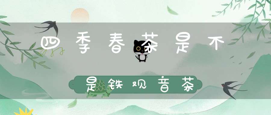 四季春茶是不是铁观音茶
