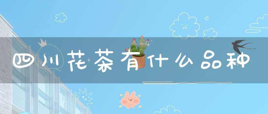 四川花茶有什么品种