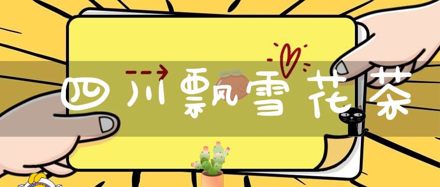 四川飘雪花茶