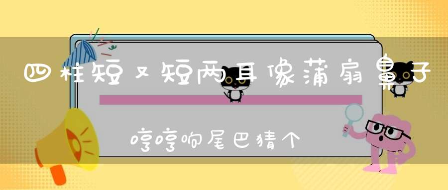 四柱短又短，两耳像蒲扇，鼻子哼哼响，尾巴猜个圈。 （猜一动物）