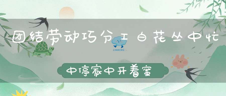 团结劳动巧分工，白花丛中忙中停，家中开着蜜糖店，人人拍手齐赞成。 （猜一动物）