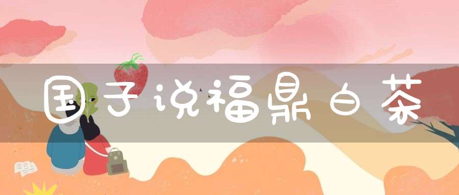 国子说福鼎白茶