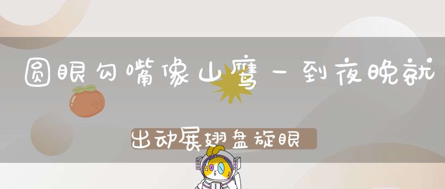 圆眼勾嘴像山鹰，一到夜晚就出动，展翅盘旋眼睁大，专等出洞害人精。 （猜一动物）